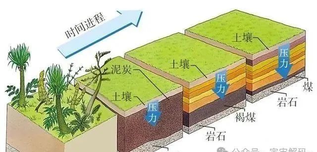 f5cb2eff63c0f39a4ea31a90e835f940.jpg